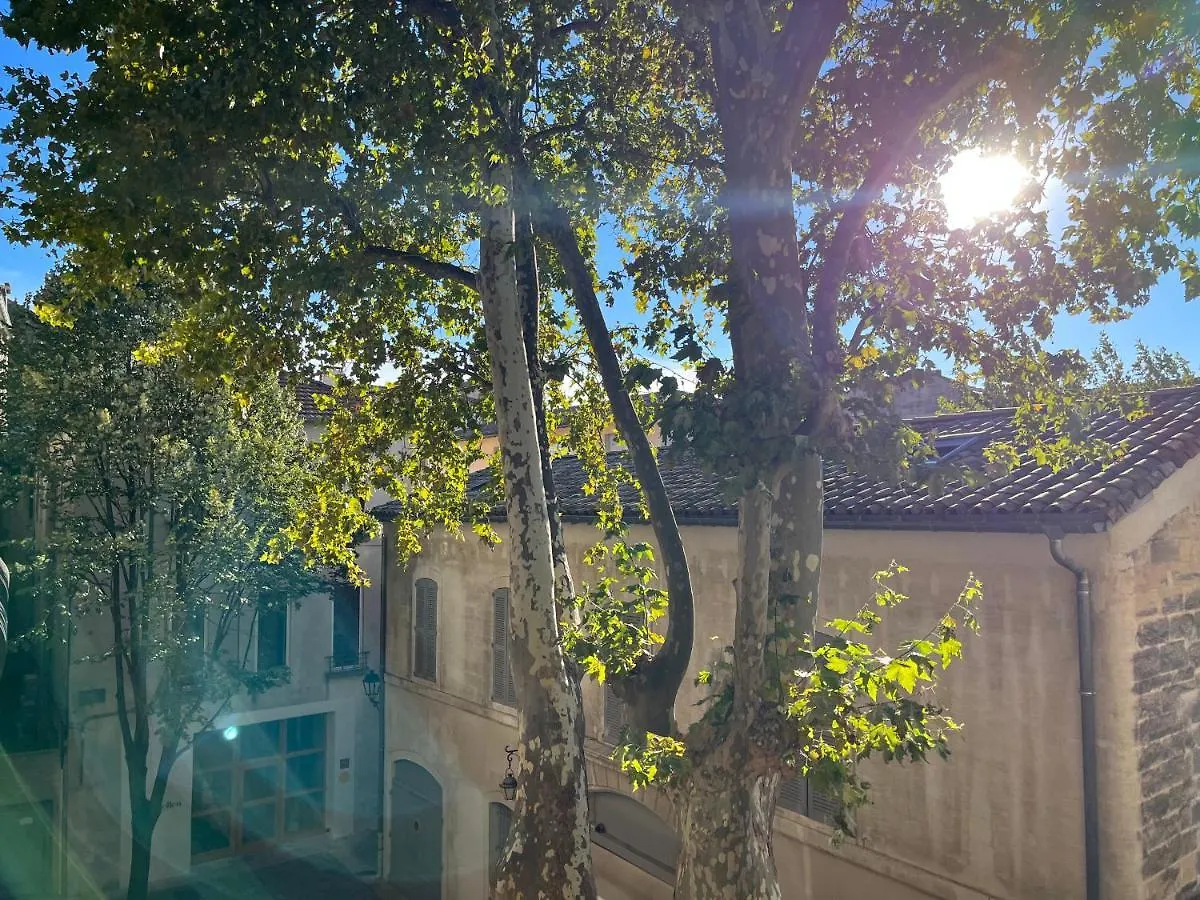 La charmante du Palais des Papes Avignon Appartement