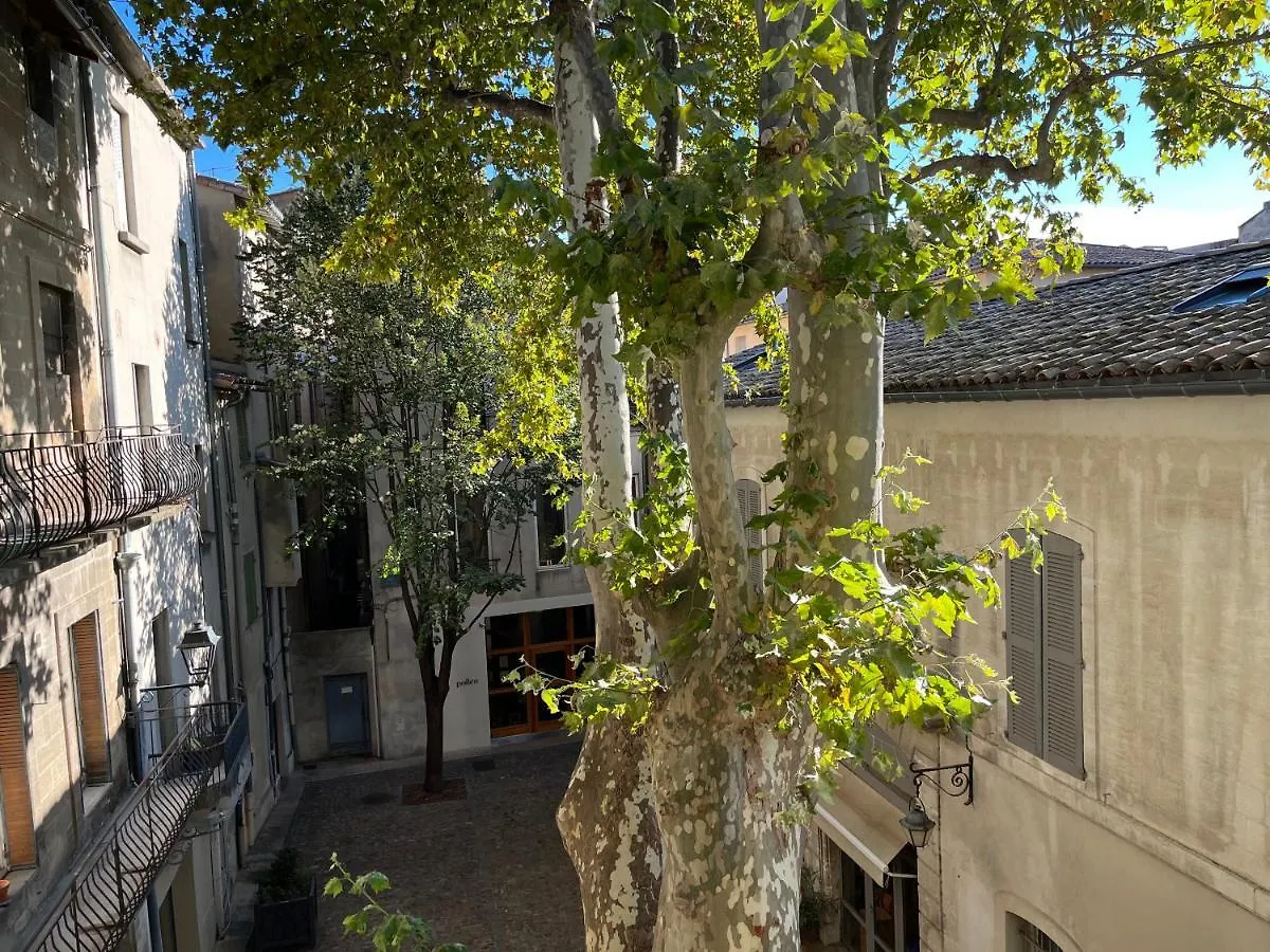 La Charmante Du Palais 2 Chambres Avignone